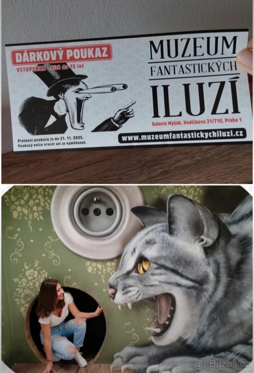 Dětská vstupenka Muzeum fantastických iluzí