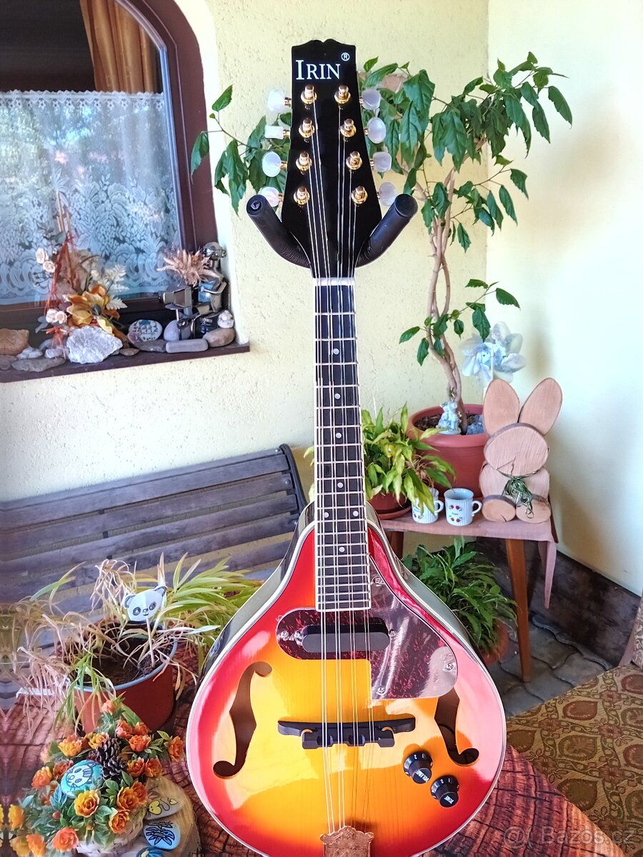 Elektroakustická mandolína