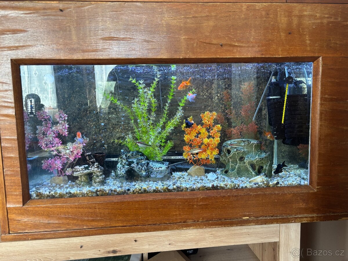Akvárium s rybičkami
