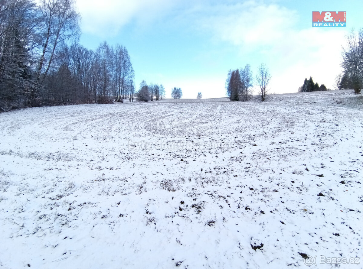 Prodej pozemku k bydlení nebo rekreaci, 2745 m², Nedvězí