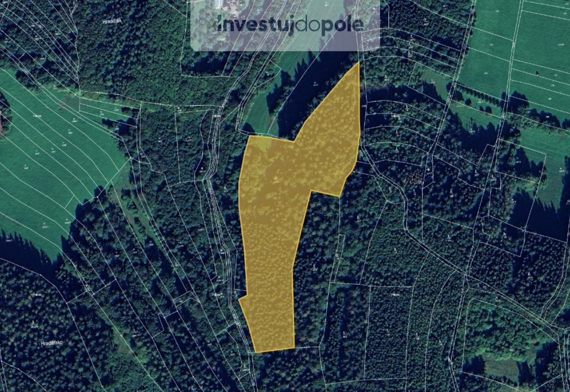 Prodej lesa 41 447 m², Janová, ev.č. 2025-07-03-2