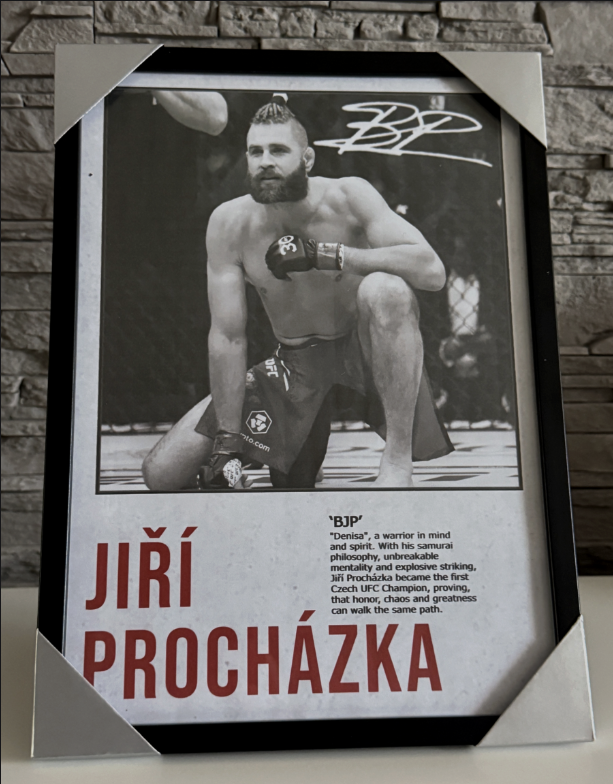 Jiří Procházka - Obraz s rámem v ceně