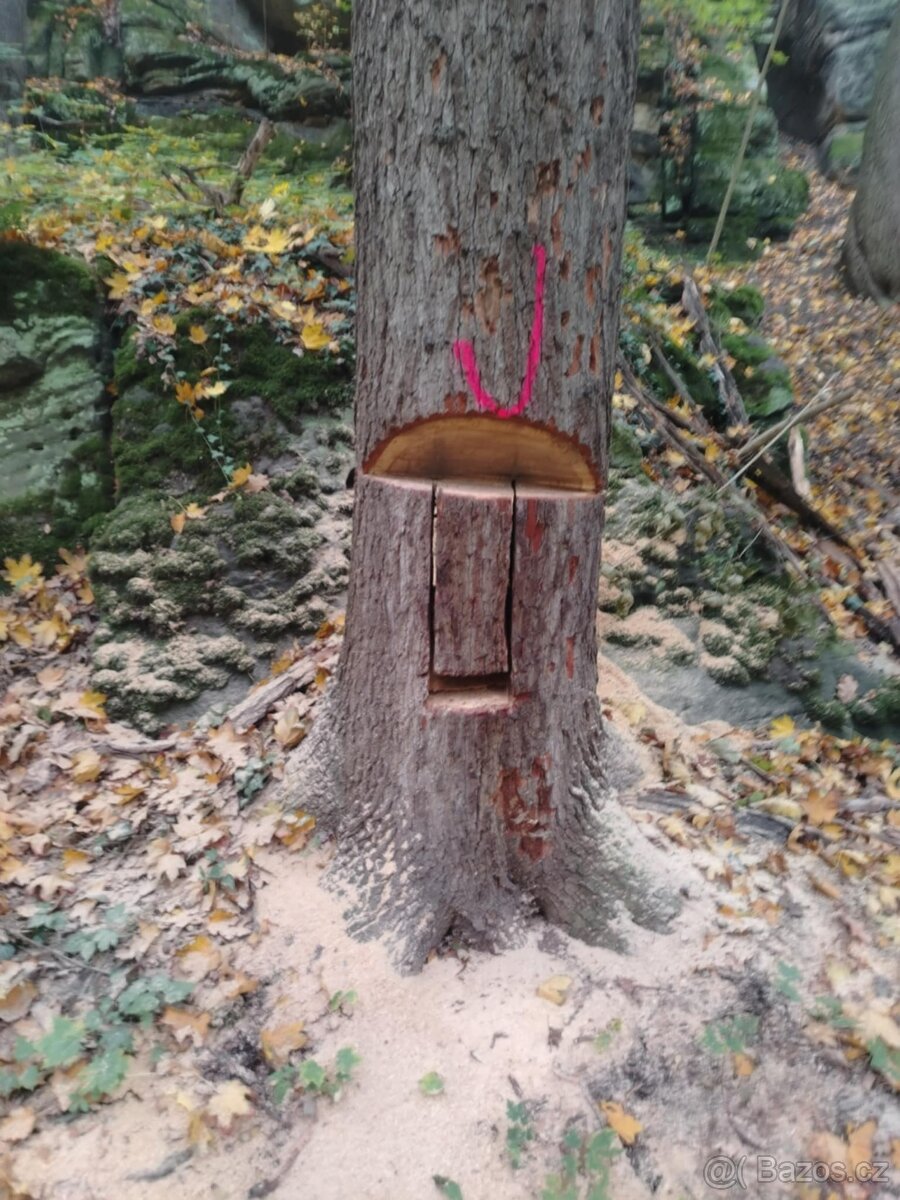 Palivové dřevo tvrdé, štípané, špalky