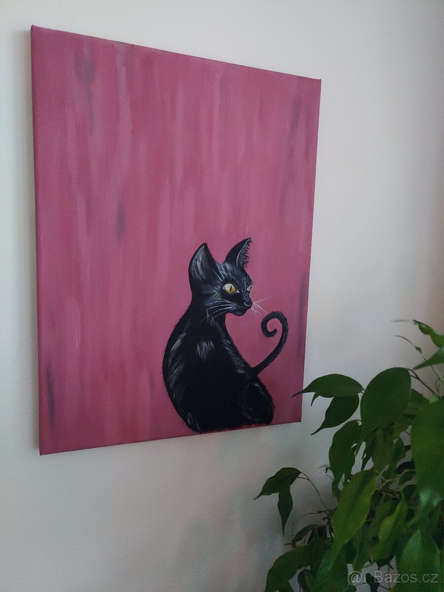 Kotě akryl 40x50