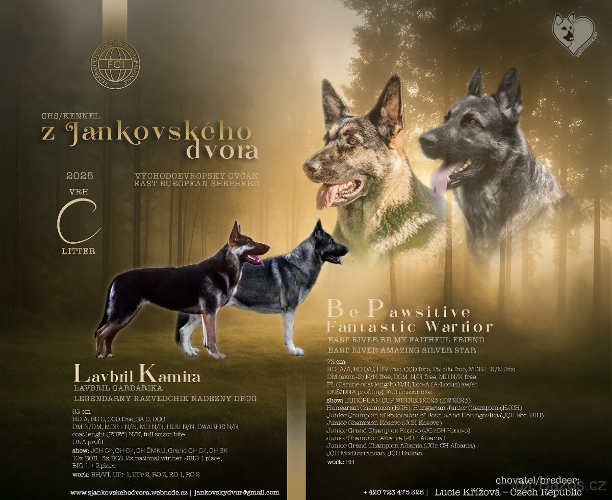 Východoevropský ovčák, Německý ovčák, Bílý švýcarský ovčák