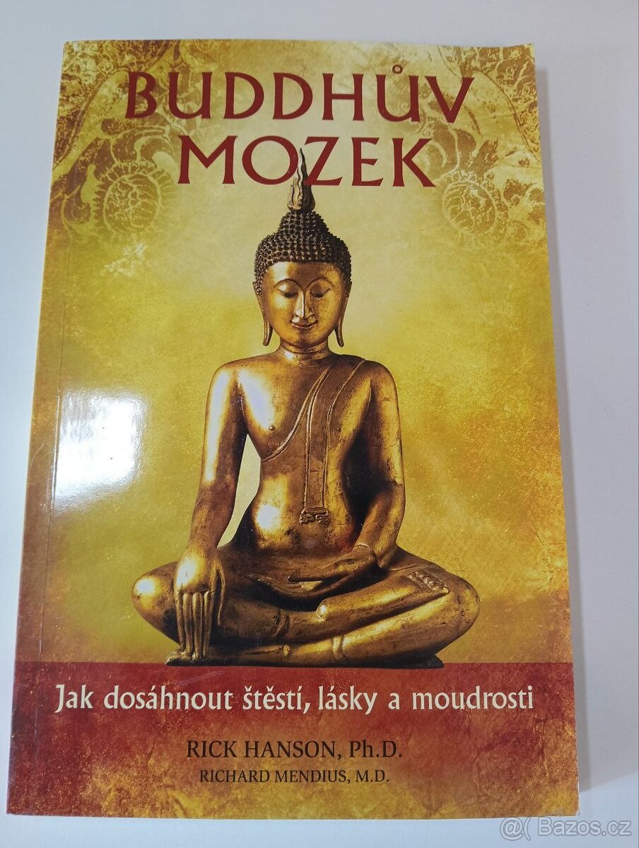 Buddhův mozek - Rick Hanson
