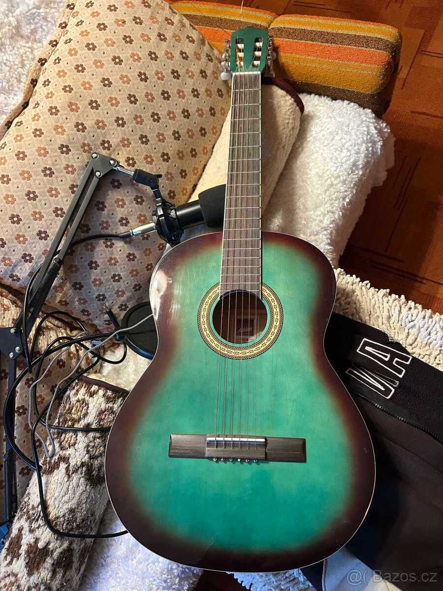 kytara s mikrofonem