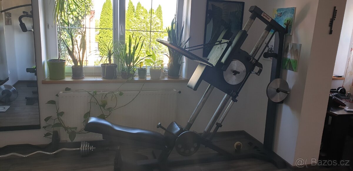 Leg press a Hacken dřepy