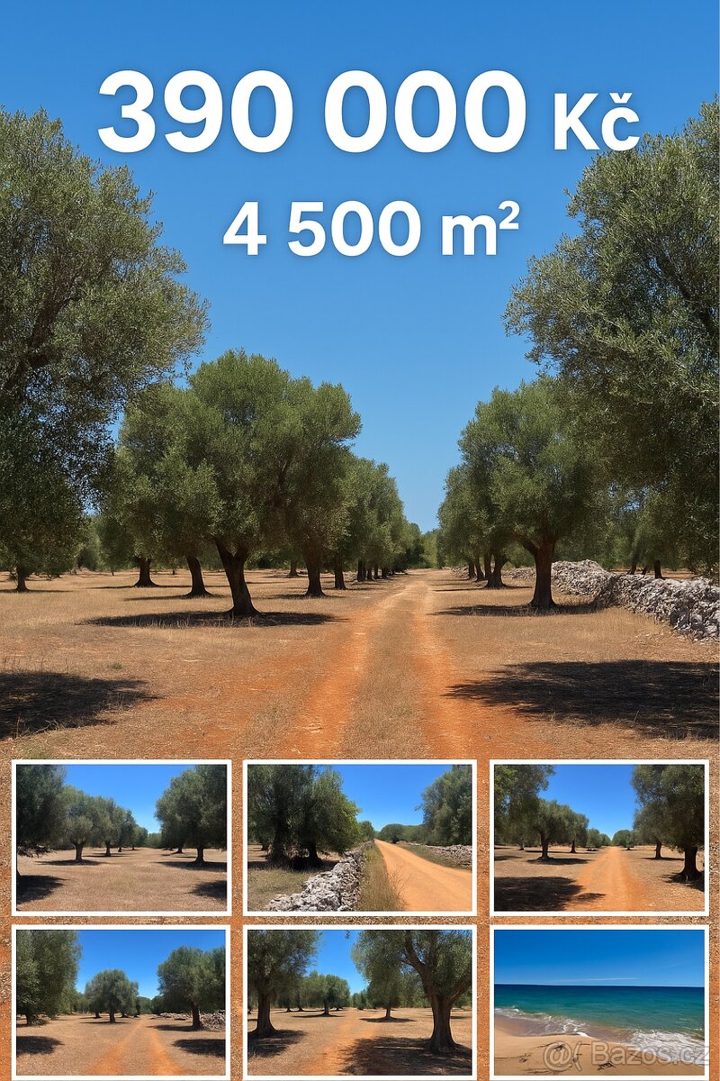 Pozemek 7km od moře Apulie