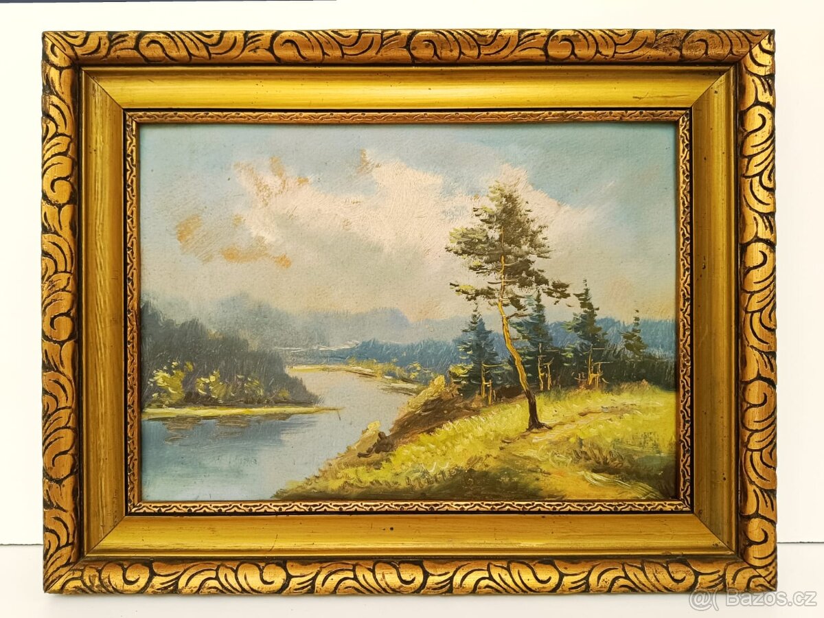 Obraz Vítězslav Fleissig, Sosna u Vltavy, olej 34x44