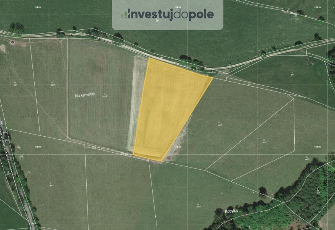 Prodej louky 9 090 m², Machov - Bělý, ev.č. 2025-06-26-11