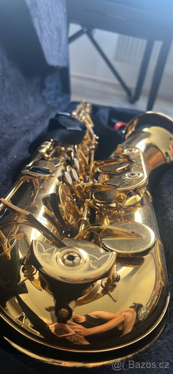 Roy Benson TS-202 Teorovy saxofo