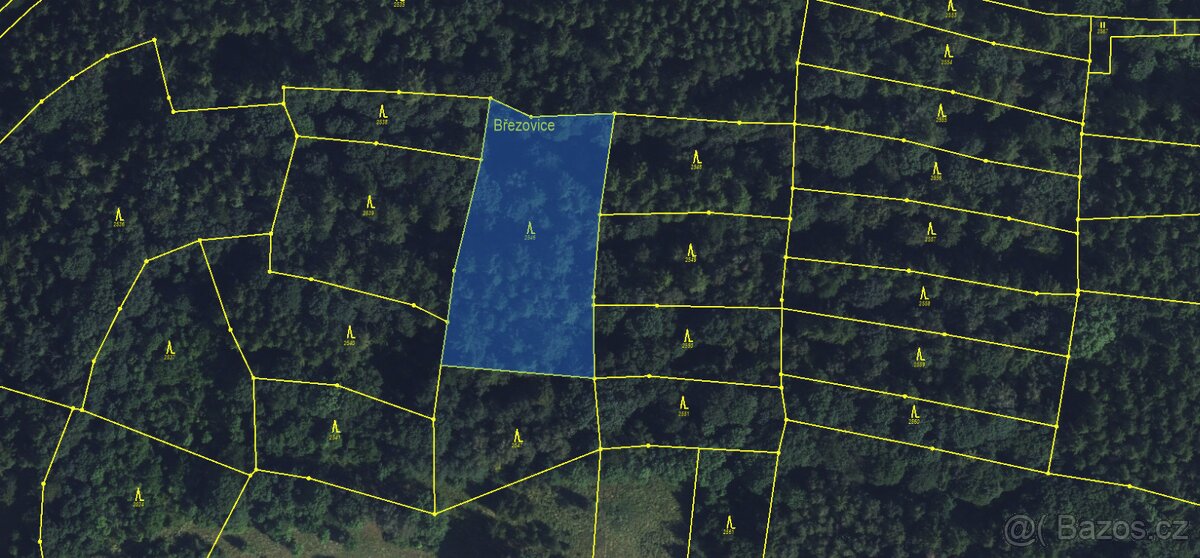 Prodám lesní pozemek v k.ú. Pěčíkov