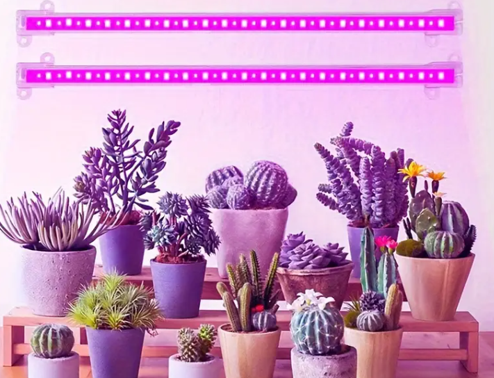 LED Osvětlení na rostliny