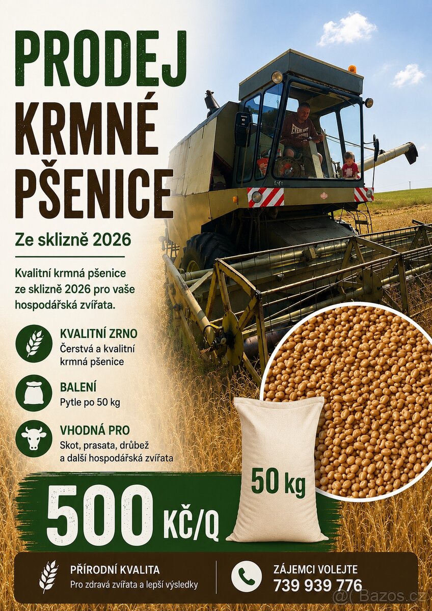 Pšenice