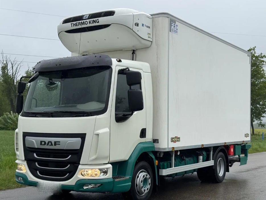 DAF LF 230 - 4x2 – Mrazák-maso ve visu – EURO 6