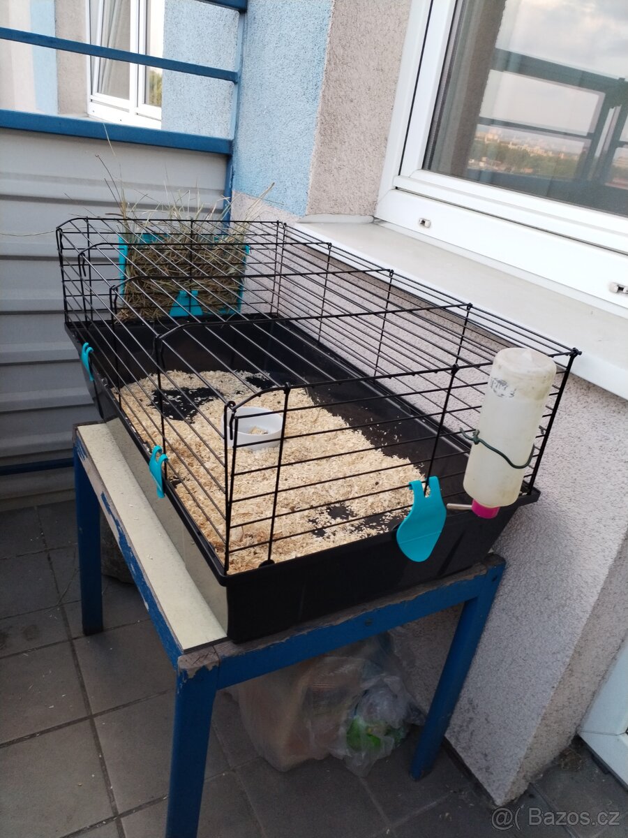 Prodám klec 1 den starou