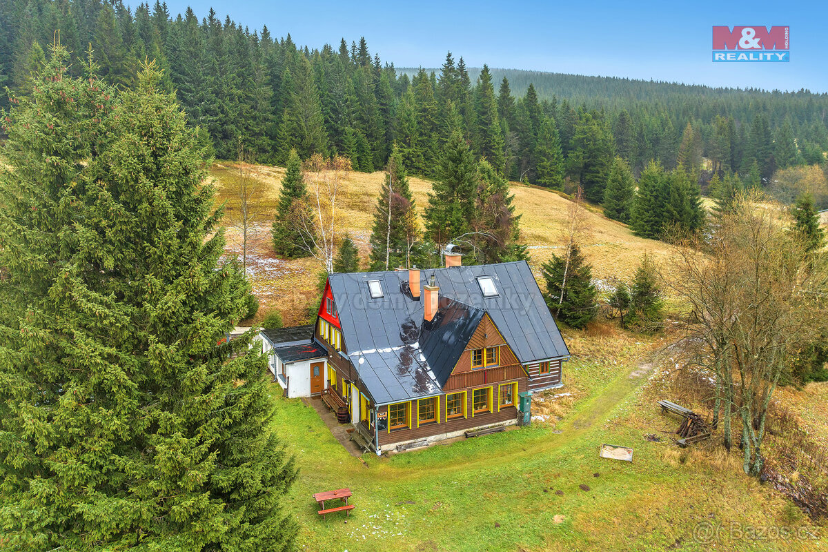 Prodej hotelu, penzionu, 540 m², Malá Úpa