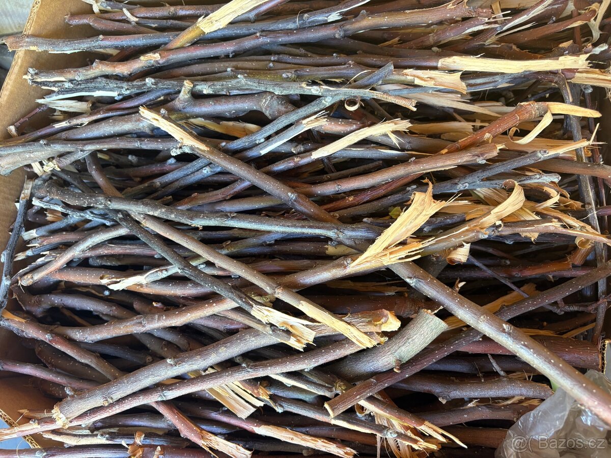 Klacíky pro morčata - jabloňové dřevo BIO kvalita