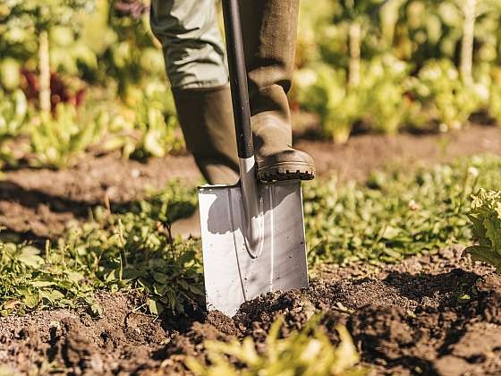 Výkopové práce - hledáme 2 lidí (nástup 25.11.)