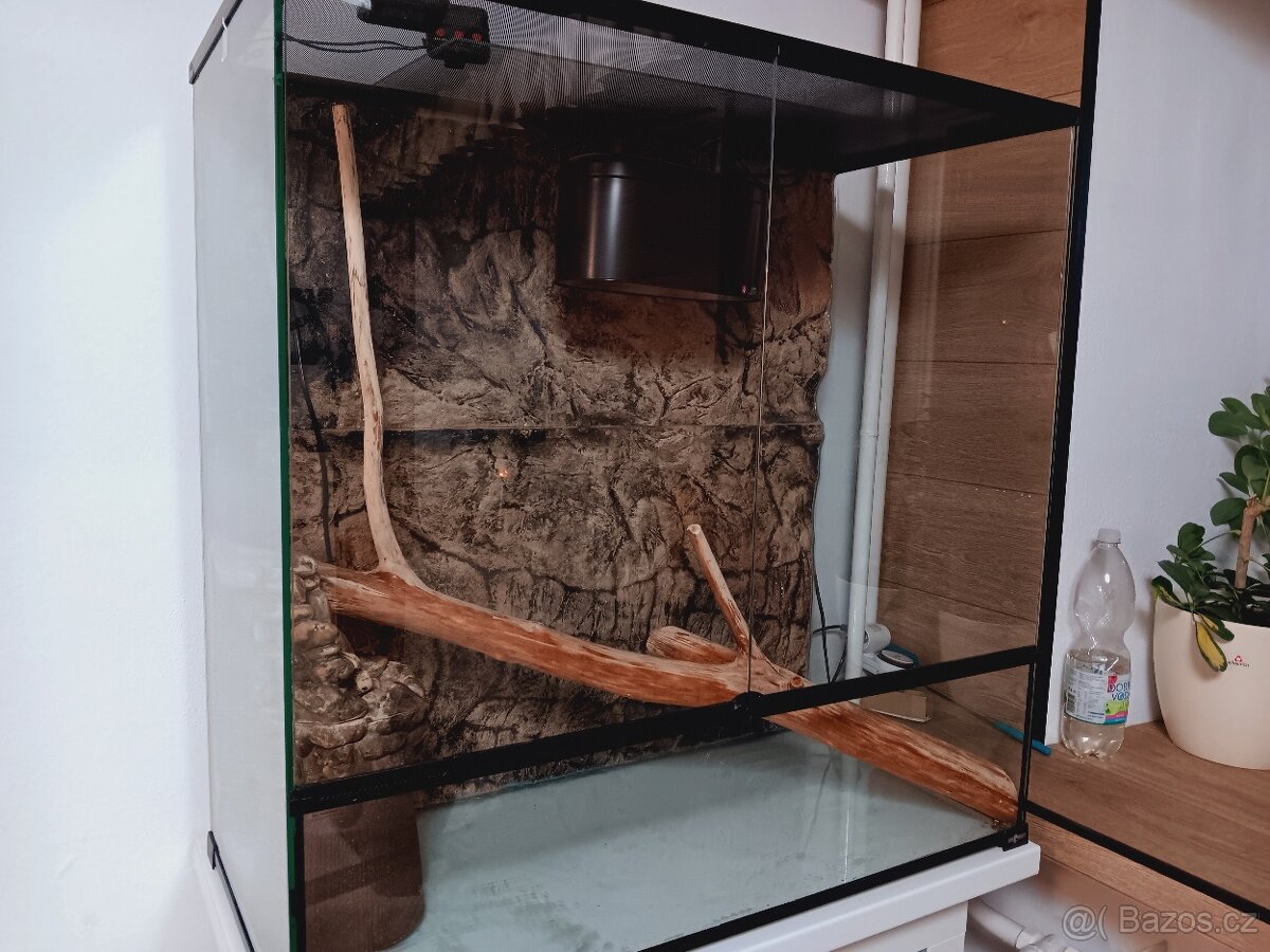 Terárium Repti Planet