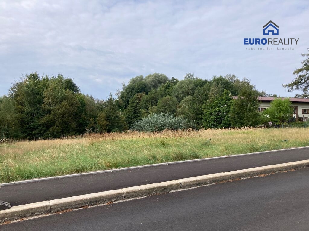 Prodej, stavební pozemek, 3 927m2, Aš