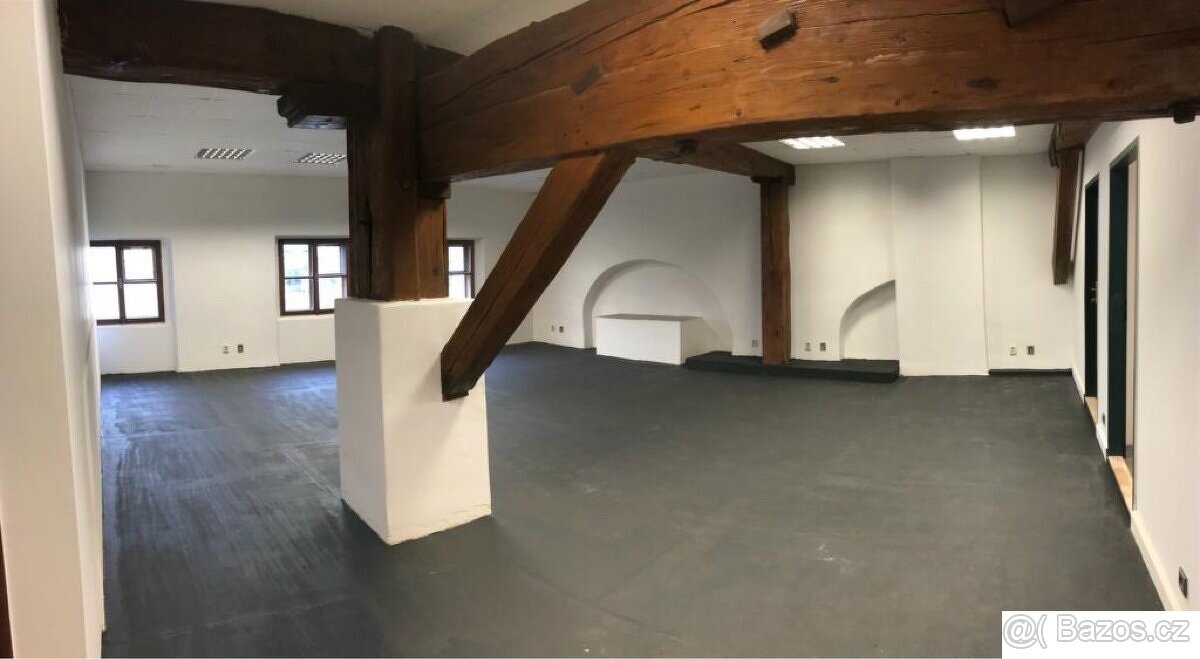 Nebytový prostor Karlín 100m