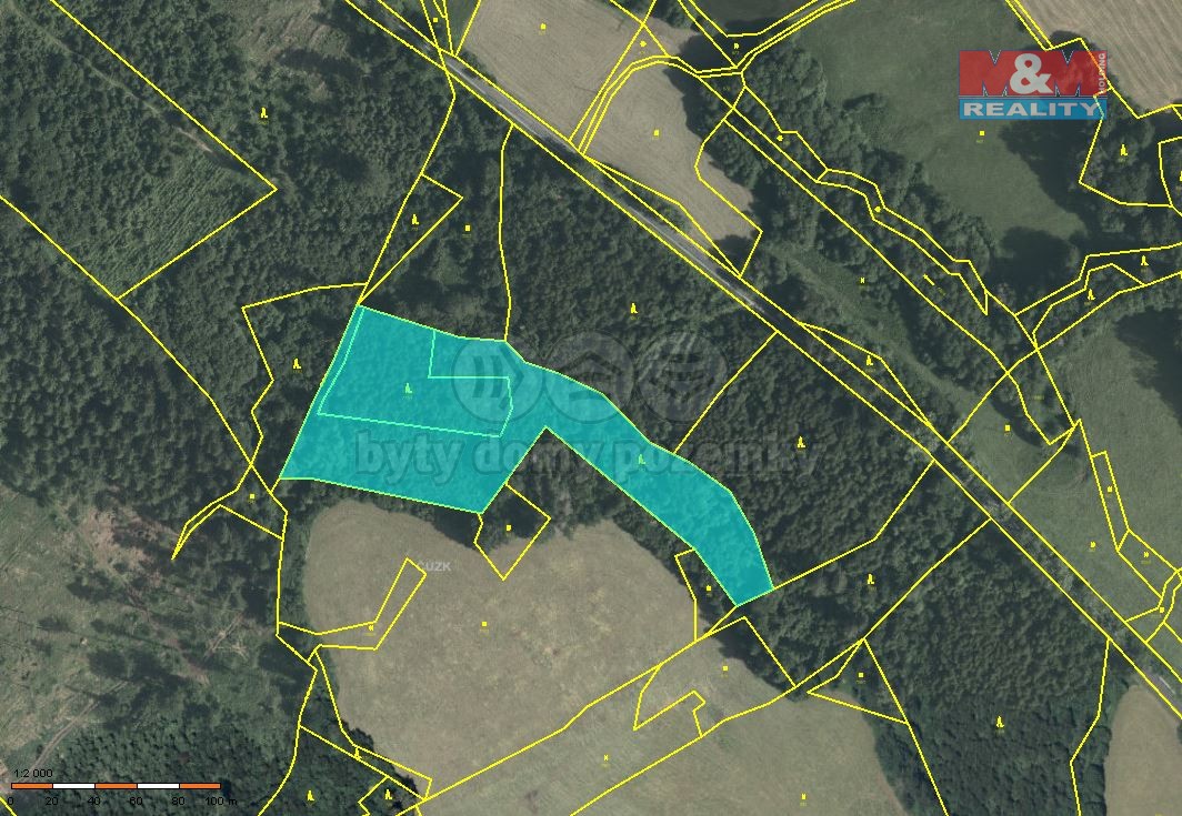 Prodej lesa, 12134 m², Horní Studénky