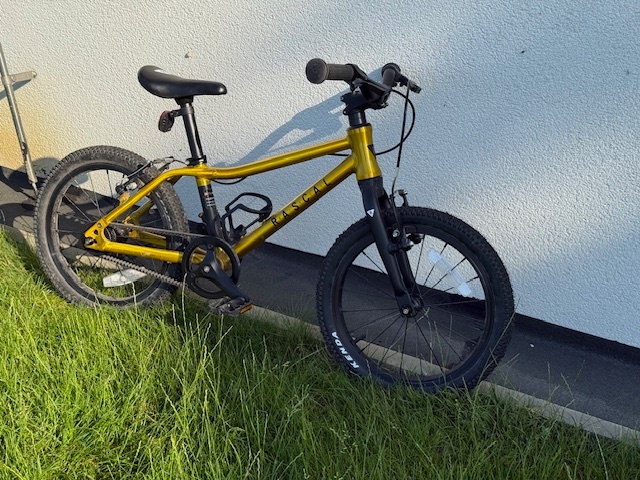Dětské kolo Rascal 16 Gold