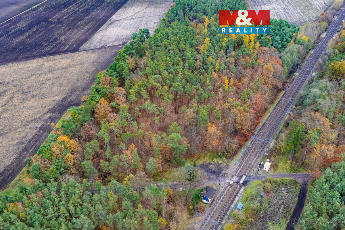 Prodej lesa, 6436 m², Lysá nad Labem