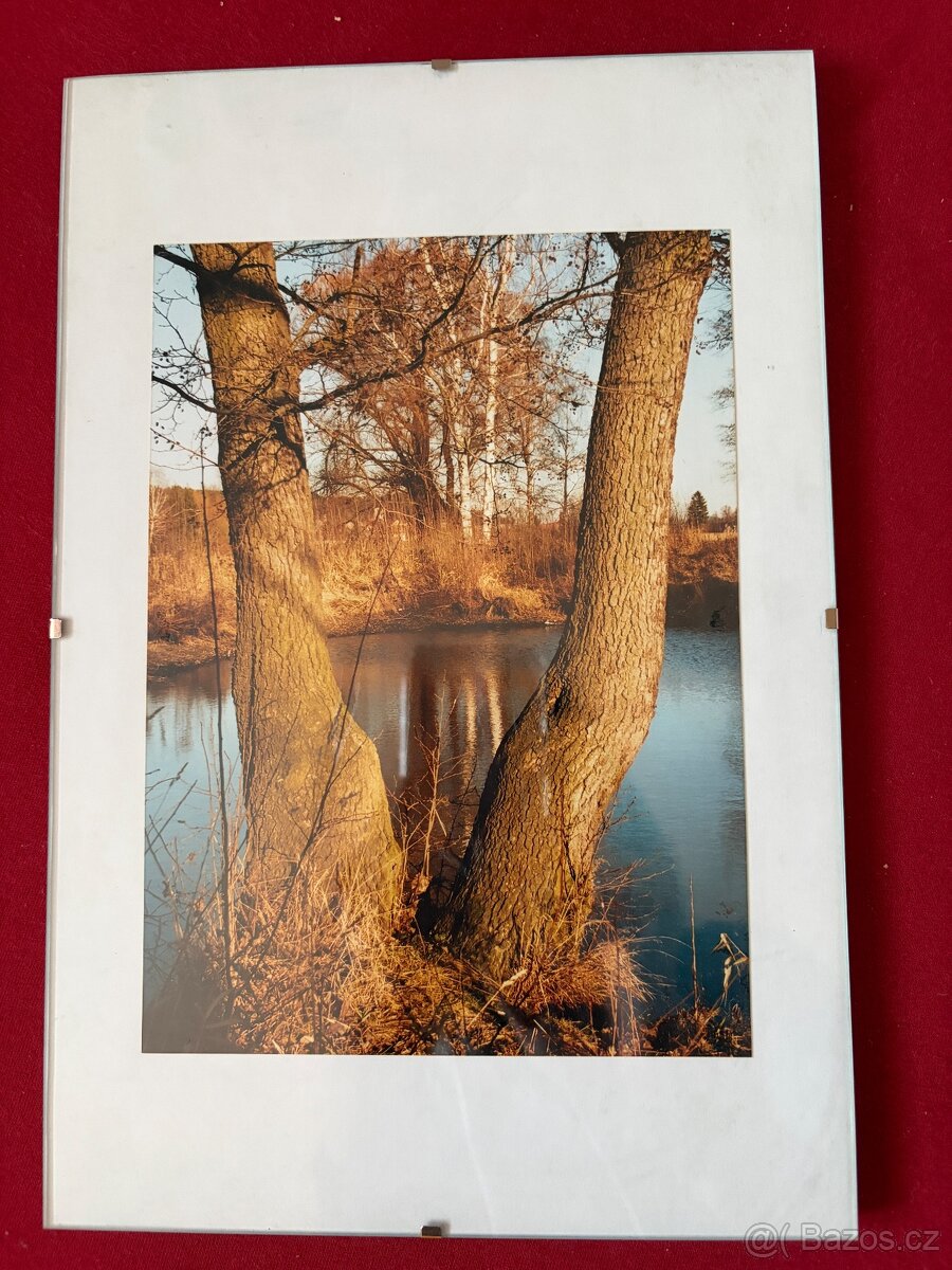 Rám na obrázek 20x30cm s fotografií stromu