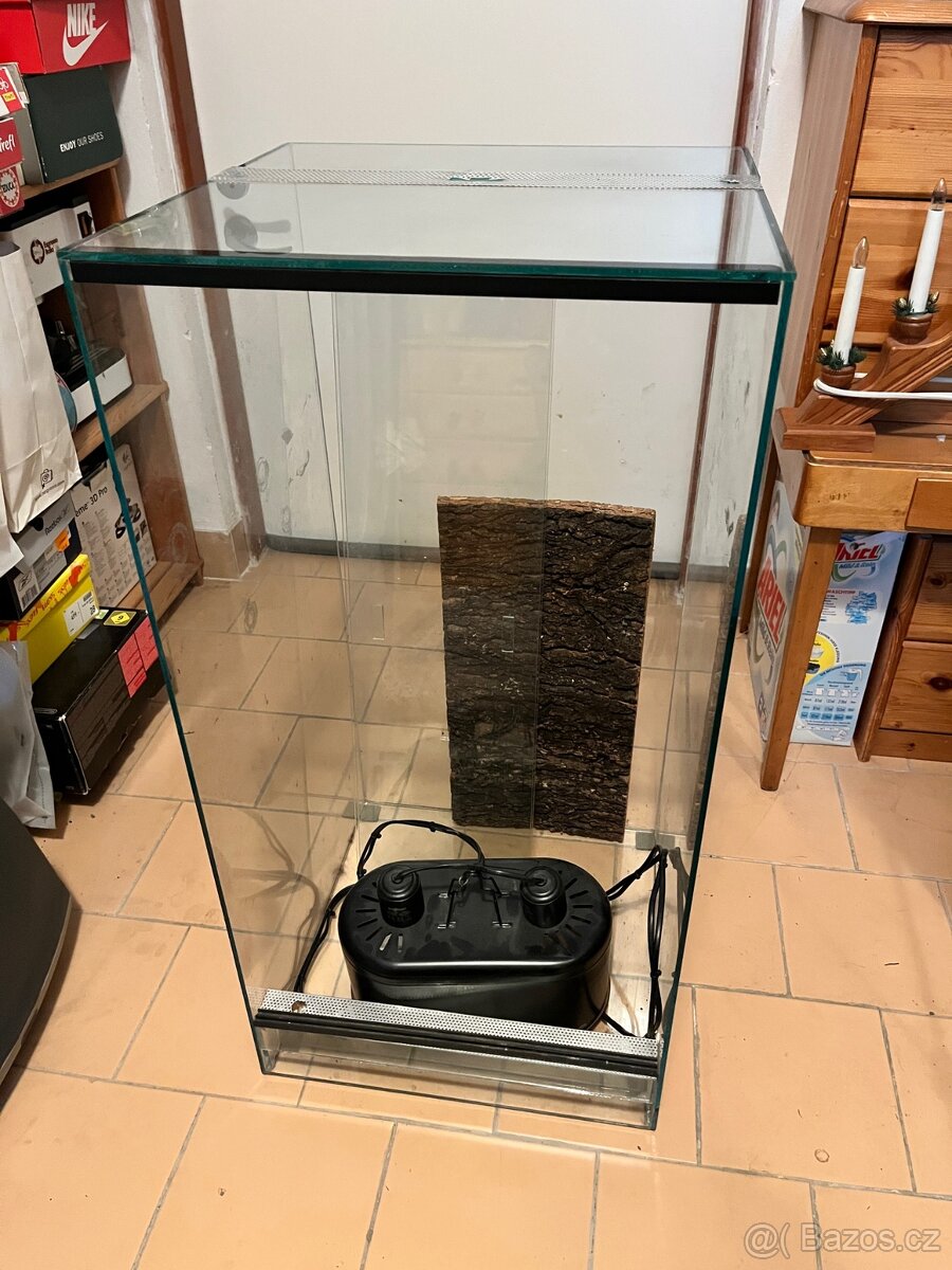 Terarium chameleon