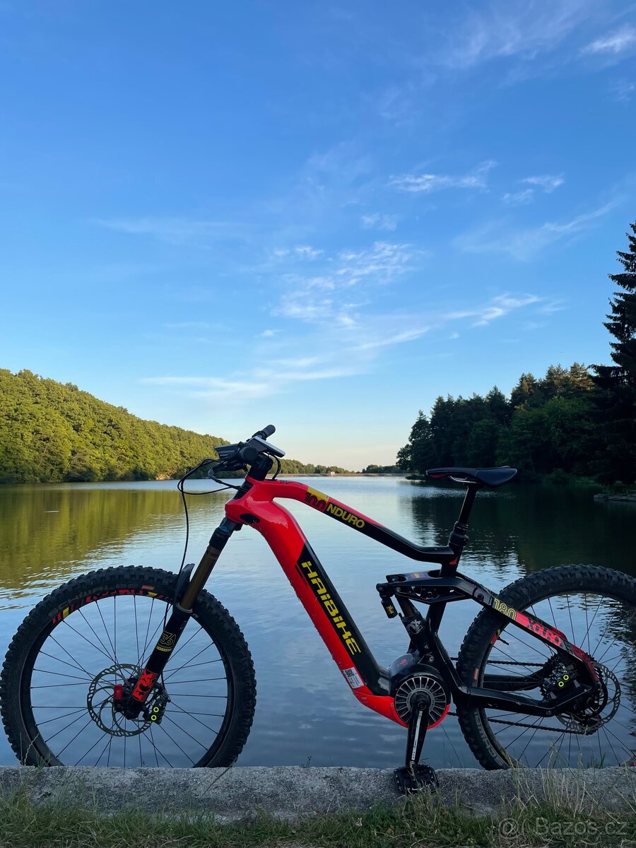 Haibike Flyon 10.0