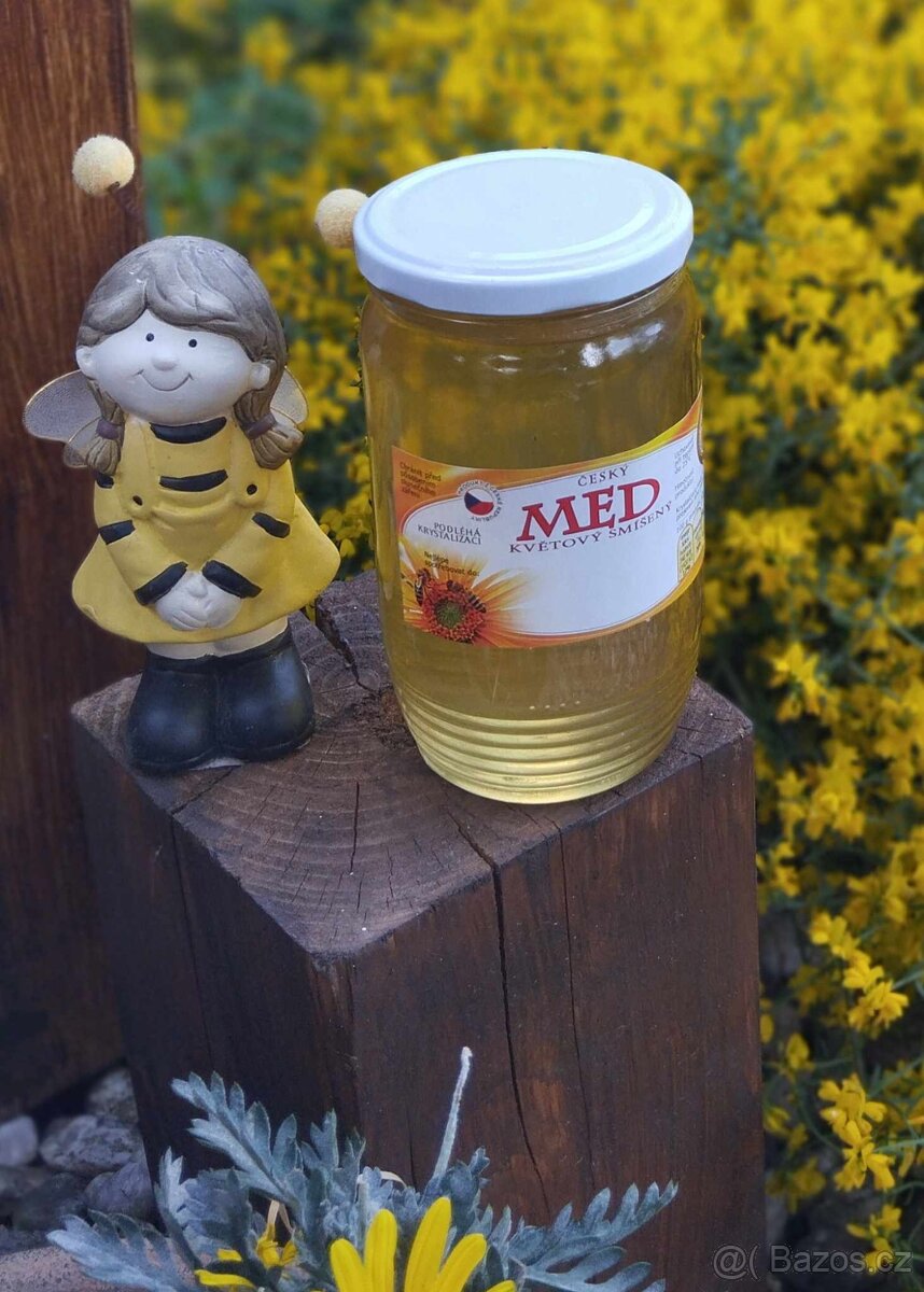 Včelí med. Mateří kašička. Propolis.