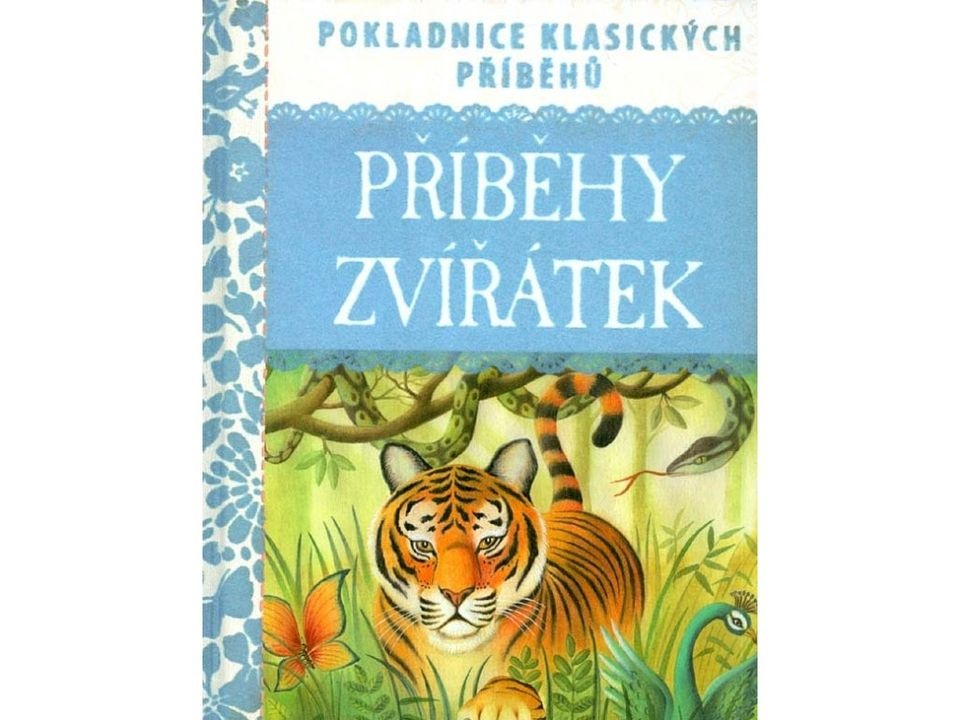 Nové knihy - výprodej