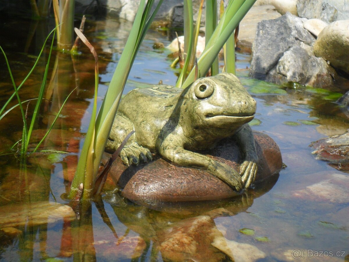 Zahradní dekorace - žába k jezírku, žabka, žába střední