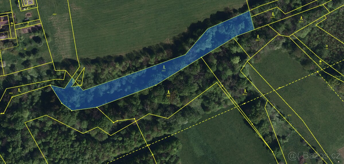 Prodám lesní pozemek na k.ú. Horní Žukov