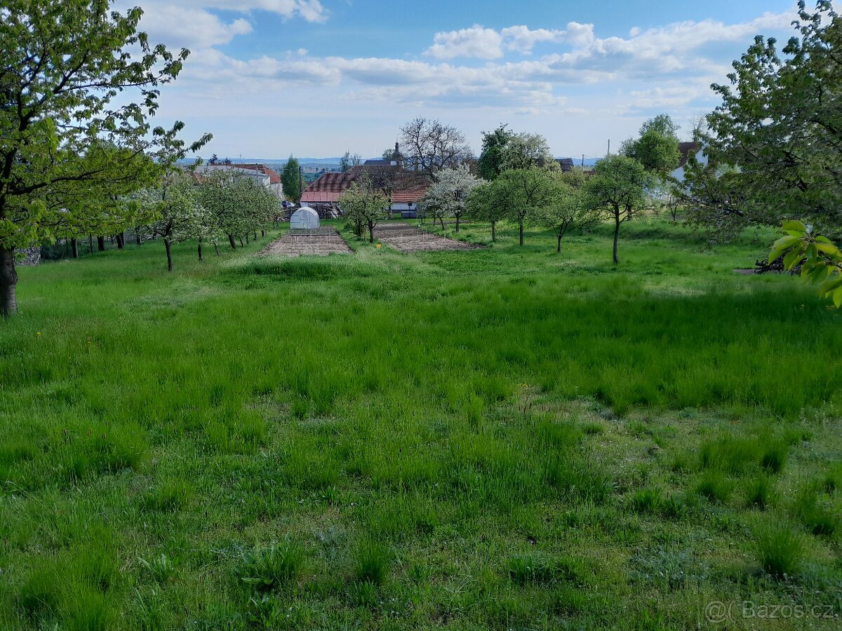 Louka na seno/trávu