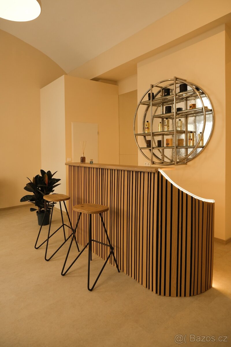 Recepce / Recepční pult/ Reception