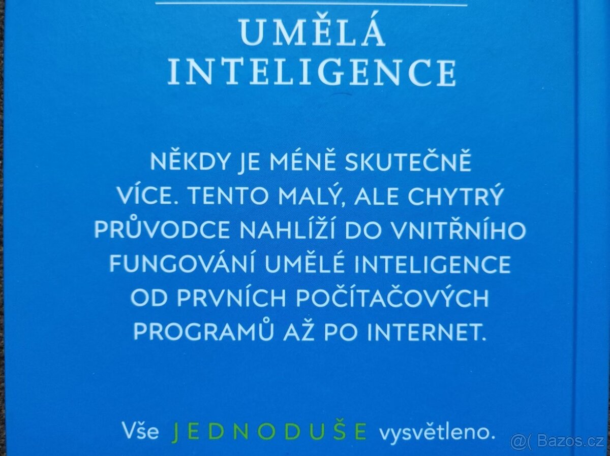 Umělá inteligence co je, jak funguje, učí se, co poskytuje