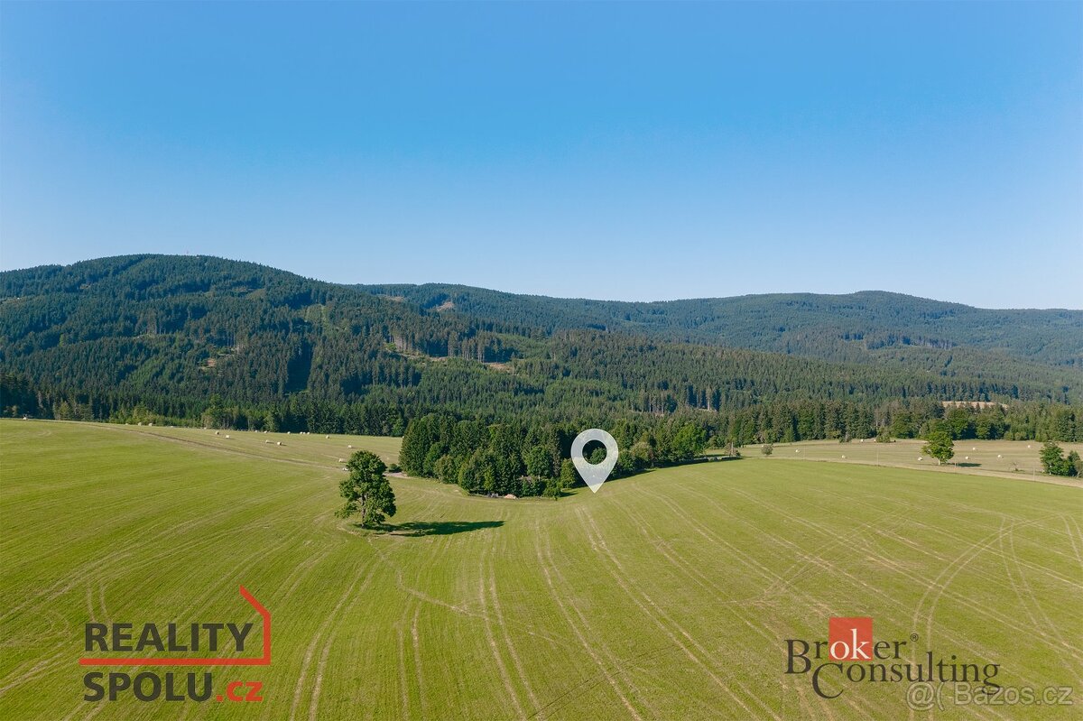 Prodej, pozemky/bydlení, 1400 m2, Říčky v Orlických horách,