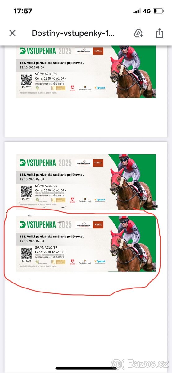 Prodám vstupenku na Velkou Pardubickou