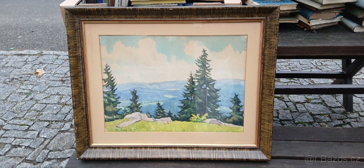 Pohled z Píseckých hor na Šumavu .Fr.Mracký