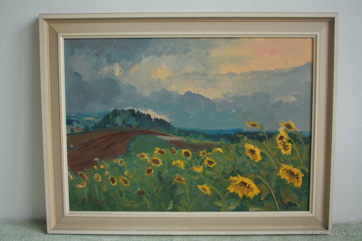 R.Procházka - Slunečnicové pole 73
