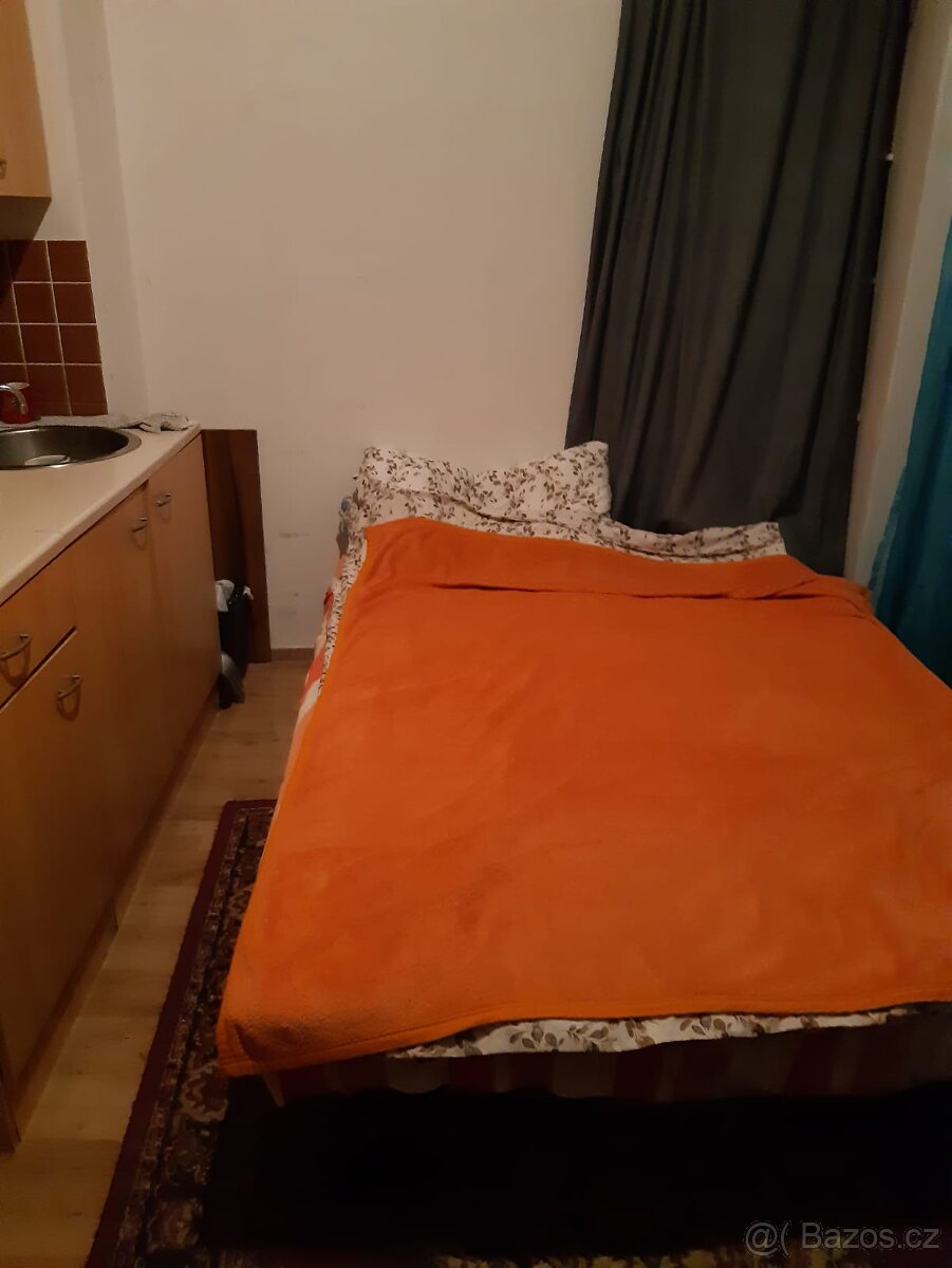 Pronájem pokoje u Národního divadla