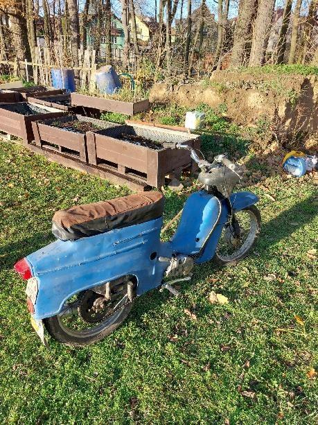 JAWA 50