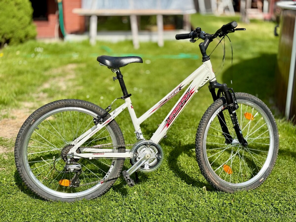 Dětské kolo Leader Fox SPIDER 24"