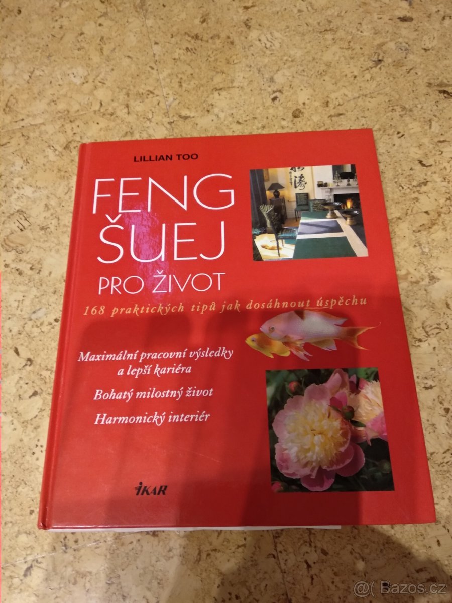 Feng Šuej