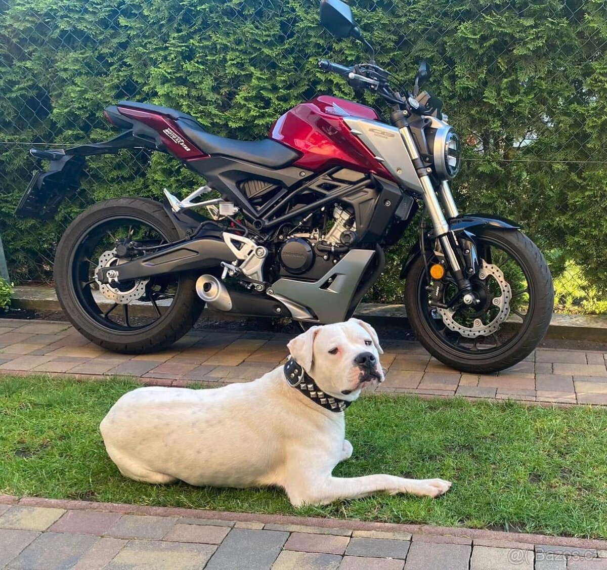 Honda CB125R
