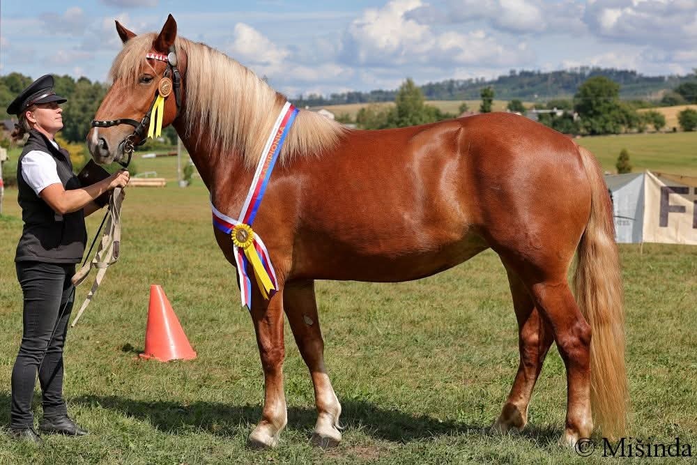 Hřebčín Františkův dvůr